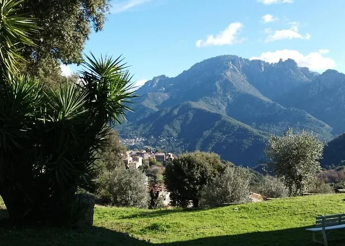 Avec Vue Sur La Montagne *