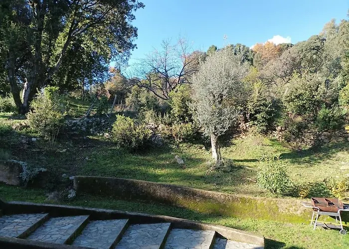 Avec Vue Sur La Montagne Appartement
